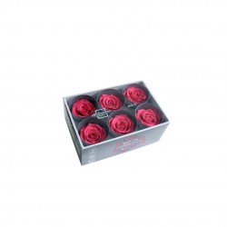 TETE rose Extra Fuschia X6 Ø6