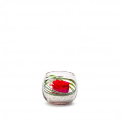 VERRINE stab Venezia 8 Ø8