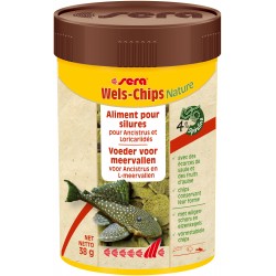 WELS-CHIPS 38G