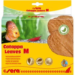 SERA Catappa leaves 16/20CM...