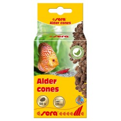 SERA Alder cones Bogues...