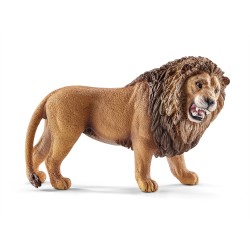 Lion Rugissant Wild Life...