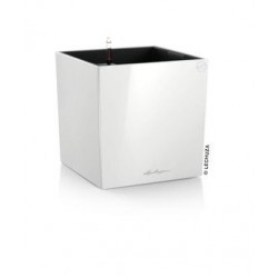 Cube réserve d'eau premium...