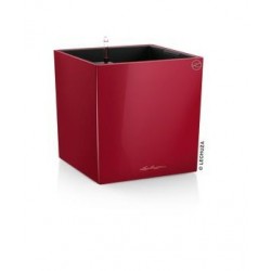 Cube réserve d'eau premium...