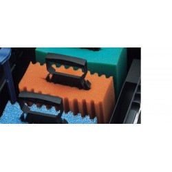 Mousse rouge biotec 18 & 36