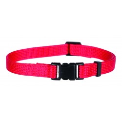 Colliers chiot x6 M–L:...