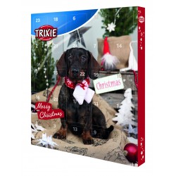 Calendrier de l'avent...