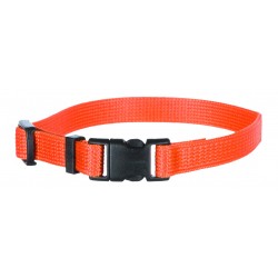 Colliers chiot x6...