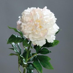 Pivoine 76cm-crem-rse