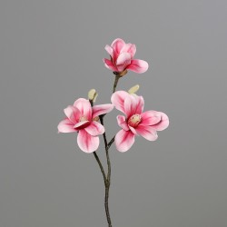 Magnolia pick 3flr 40cm rse