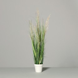 Herbe 96cm pot-plast