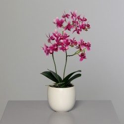 Orchidee pot-ceram rse/blc
