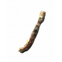 Cou de dinde bubimex