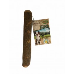 Bâton d'olivier M, 100-220...