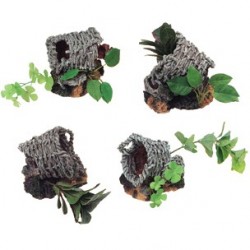 Decoration panier +plantes s