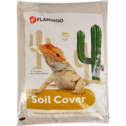 Sable terrarium coast flamingo