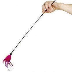 Baton de plumes displ box