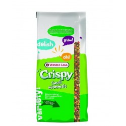 CRISPY snack Popcorn 10kg