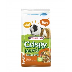 Crispy muesli guinea pigs...