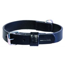 Collier droit cuir 25MM-50