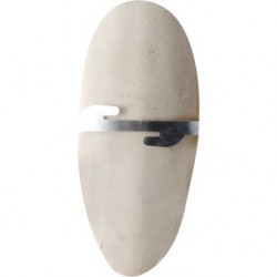 Coquille x2 sur carte sepia