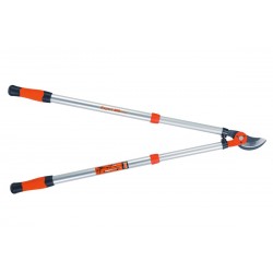 Ebrancheur expert telescopique