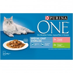 Pack PURINA ONE Effilés en...