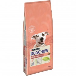 Croquettes dog chow...