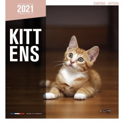 Calendrier chatons