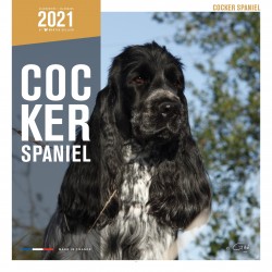 Calendrier cocker spaniel