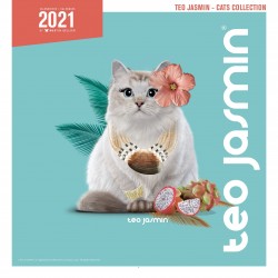 Calendrier teo jasmin 