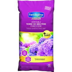 Véritable Terre De Bruyère...