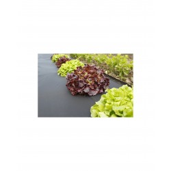 Paillage MICROTEX 1.40X5M Noir