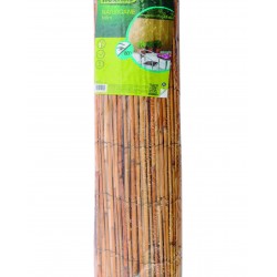 Canisse NATURCANE 1X5M