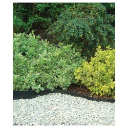 SELFIX BORDURA Bordure...