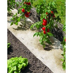 Paillage CHANVRELIN 500 0.5X3M