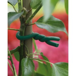 BIFLEX Lien mousse Vert 5mmx5m