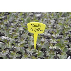 ETIQUETTES piq LABEL 15CM...