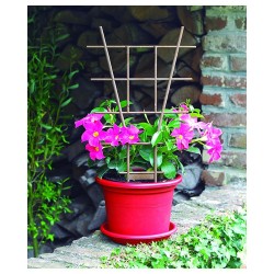 Tuteur ECHELLE FIB 50CM Marron