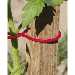 Clips TOMATOCLIPS 6.2CM x25...
