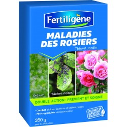 Maladies Des Rosiers Uab...