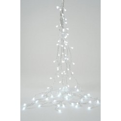 Lumled scint grappe...