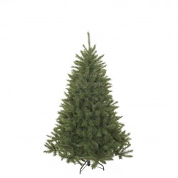 Sapin Bristlecone Vert En...