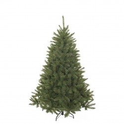 Sapin de Noël Bristlecone...