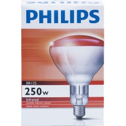 Dif ampoule infra-rouge 250...