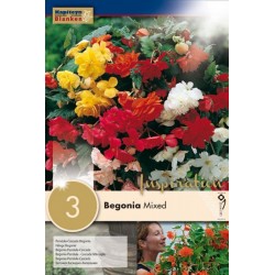 KAPITEYN VARIETY...