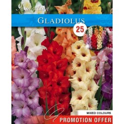 KAPITEYN PROMOTION...