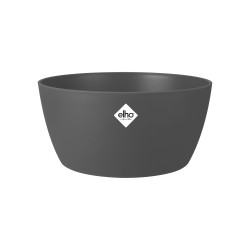 Coupe Brussels 23cm Anth