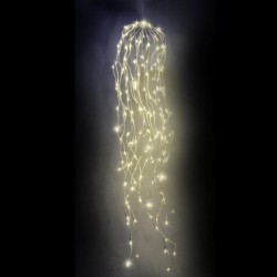 Chute de saule lumineuse...