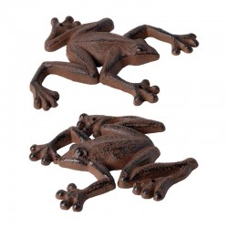 Grenouille...
